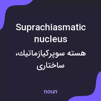 معنی suprachiasmatic nucleus به فارسی