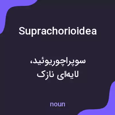 معنی suprachorioidea به فارسی
