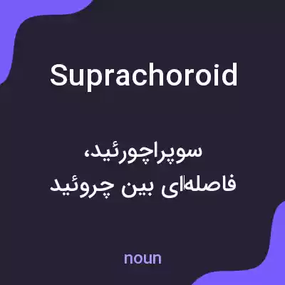 معنی suprachoroid به فارسی معنی suprachoroid به فارسی