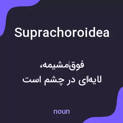 معنی suprachoroidea به فارسی معنی suprachoroidea به فارسی