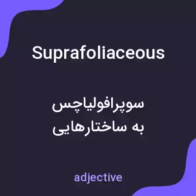معنی suprafoliaceous به فارسی معنی suprafoliaceous به فارسی