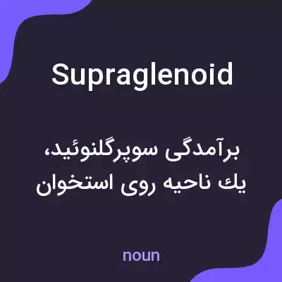 معنی supraglenoid به فارسی