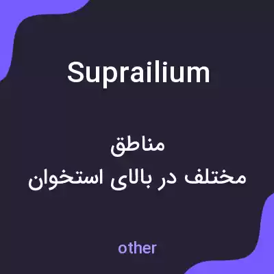 معنی suprailium به فارسی معنی suprailium به فارسی
