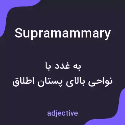 معنی supramammary به فارسی