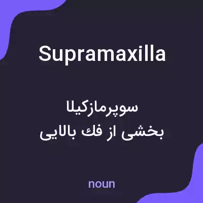 معنی supramaxilla به فارسی معنی supramaxilla به فارسی