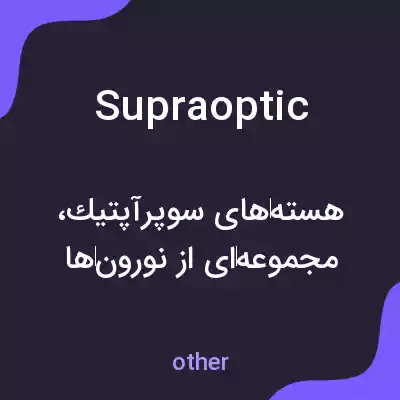 معنی supraoptic به فارسی معنی supraoptic به فارسی