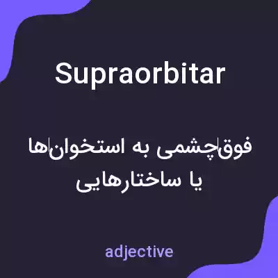 معنی supraorbitar به فارسی معنی supraorbitar به فارسی