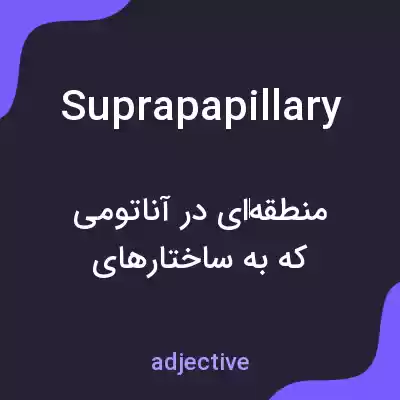 معنی suprapapillary به فارسی معنی suprapapillary به فارسی