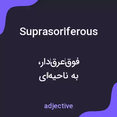 معنی suprasoriferous به فارسی معنی suprasoriferous به فارسی
