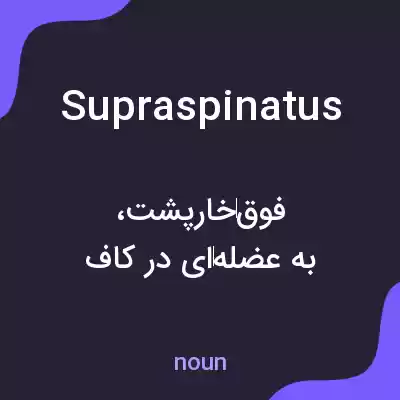 معنی supraspinatus به فارسی معنی supraspinatus به فارسی