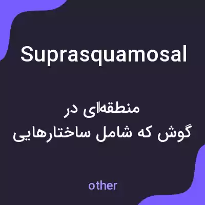معنی suprasquamosal به فارسی معنی suprasquamosal به فارسی