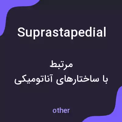 معنی suprastapedial به فارسی معنی suprastapedial به فارسی