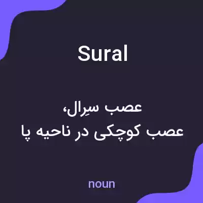معنی sural به فارسی معنی sural به فارسی
