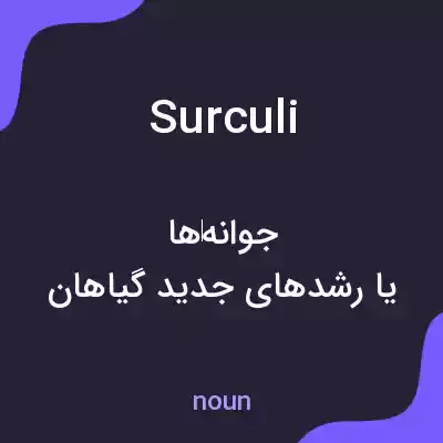معنی surculi به فارسی معنی surculi به فارسی