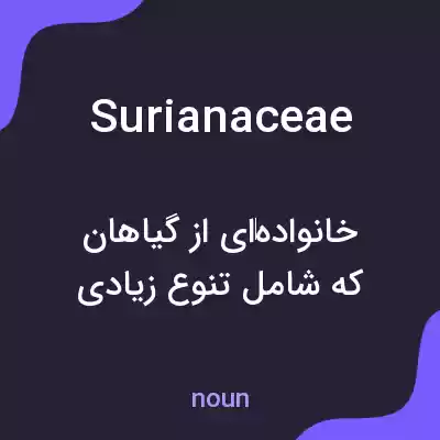 معنی surianaceae به فارسی معنی surianaceae به فارسی