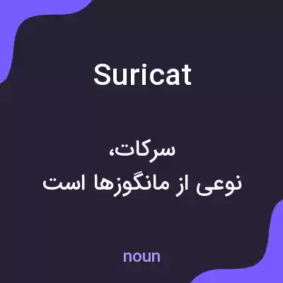 معنی suricat به فارسی معنی suricat به فارسی