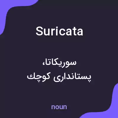 معنی suricata به فارسی معنی suricata به فارسی