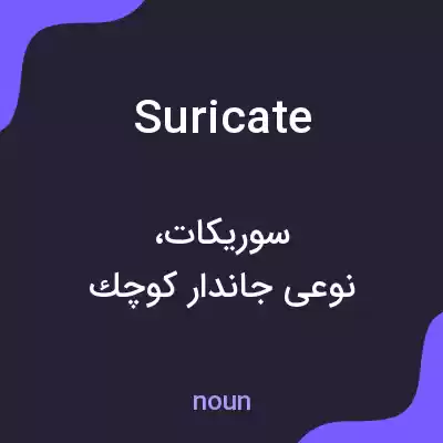 معنی suricate به فارسی معنی suricate به فارسی