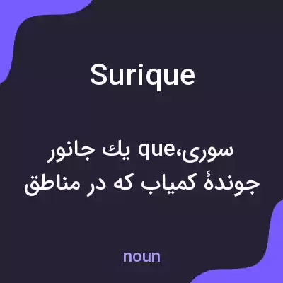 معنی surique به فارسی معنی surique به فارسی