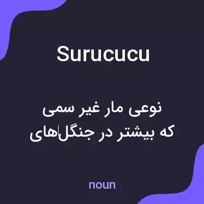 معنی surucucu به فارسی معنی surucucu به فارسی