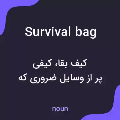 معنی survival bag به فارسی معنی survival bag به فارسی