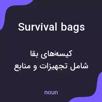 معنی survival bags به فارسی معنی survival bags به فارسی