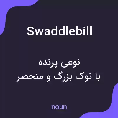 معنی swaddlebill به فارسی