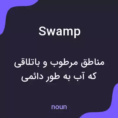 معنی swamp به فارسی معنی swamp به فارسی