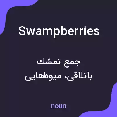 معنی swampberries به فارسی معنی swampberries به فارسی