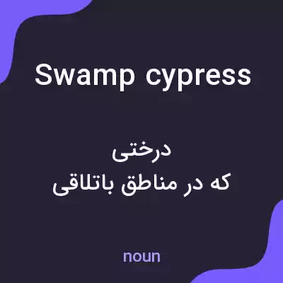 معنی swamp cypress به فارسی معنی swamp cypress به فارسی