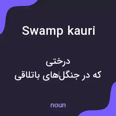 معنی swamp kauri به فارسی