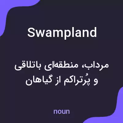معنی swampland به فارسی معنی swampland به فارسی