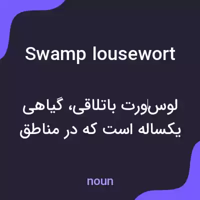 معنی swamp lousewort به فارسی