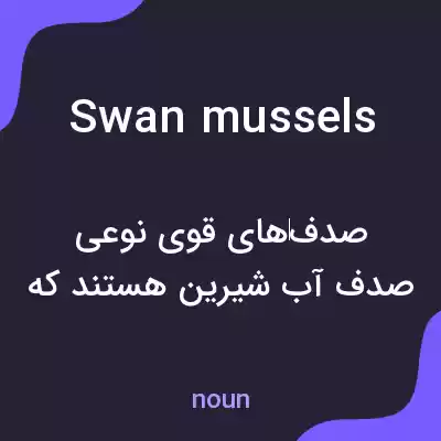 معنی swan mussels به فارسی