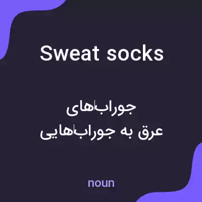 معنی sweat socks به فارسی معنی sweat socks به فارسی