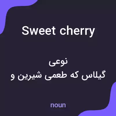 معنی sweet cherry به فارسی معنی sweet cherry به فارسی