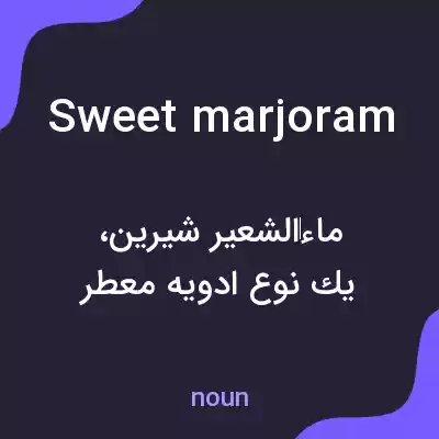 معنی sweet marjoram به فارسی معنی sweet marjoram به فارسی