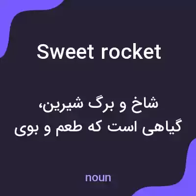 معنی sweet rocket به فارسی معنی sweet rocket به فارسی