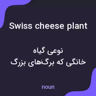 معنی swiss cheese plant به فارسی معنی swiss cheese plant به فارسی