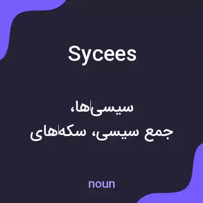 معنی sycees به فارسی معنی sycees به فارسی