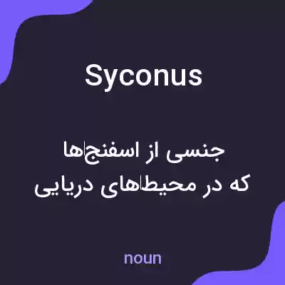 معنی syconus به فارسی معنی syconus به فارسی