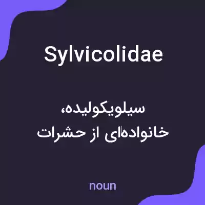 معنی sylvicolidae به فارسی معنی sylvicolidae به فارسی