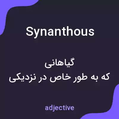 معنی synanthous به فارسی