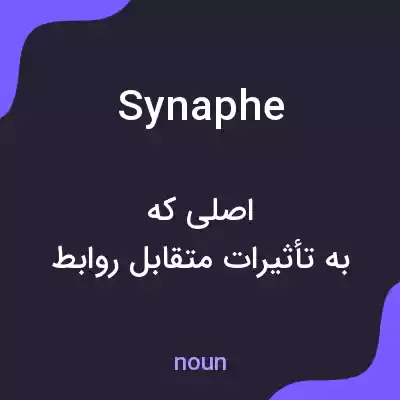 معنی synaphe به فارسی معنی synaphe به فارسی