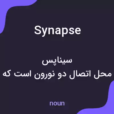 معنی synapse به فارسی معنی synapse به فارسی