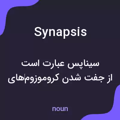 معنی synapsis به فارسی معنی synapsis به فارسی