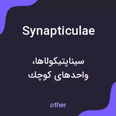 معنی synapticulae به فارسی معنی synapticulae به فارسی