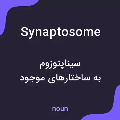 معنی synaptosome به فارسی معنی synaptosome به فارسی