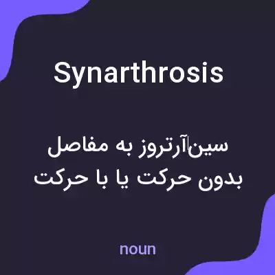 معنی synarthrosis به فارسی معنی synarthrosis به فارسی