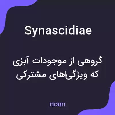معنی synascidiae به فارسی معنی synascidiae به فارسی